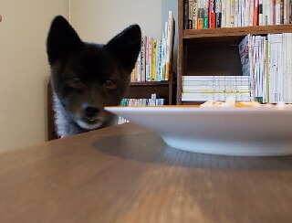 2012.8.4 028-2