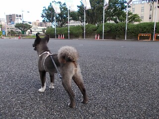 DSCN2095-2.jpg