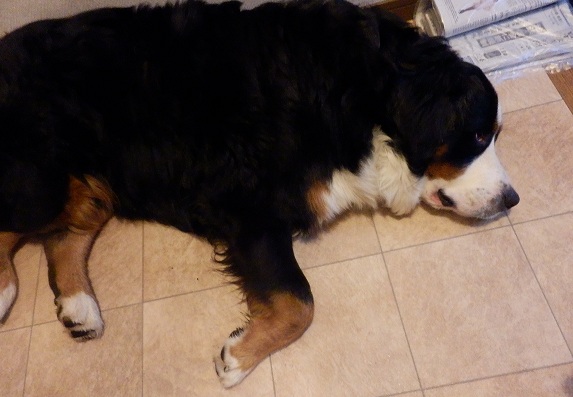 001_20121124074018.jpg