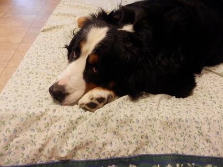 001_20121126162821.jpg