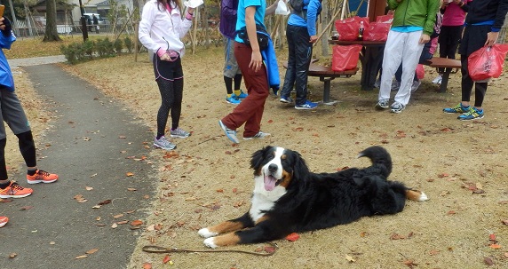 001_20121201103241.jpg