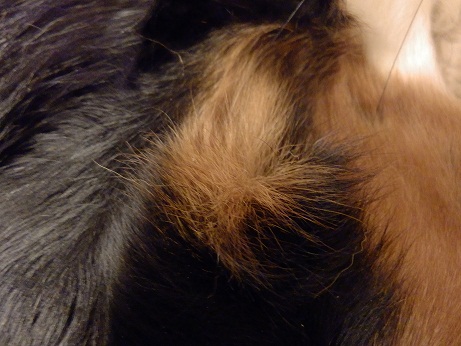 001_20121203131654.jpg