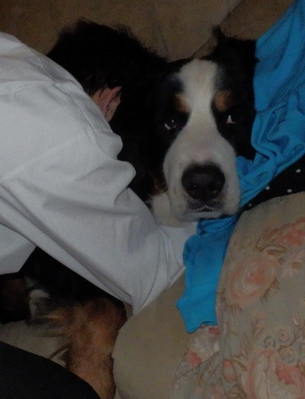 001_20121213195655.jpg