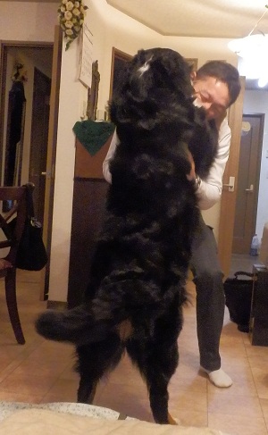 001_20121230163850.jpg