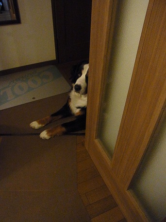 002_20121102065020.jpg