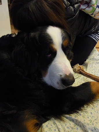 002_20121115082541.jpg