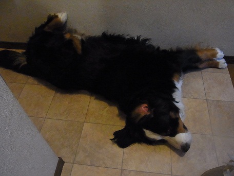002_20121119073122.jpg