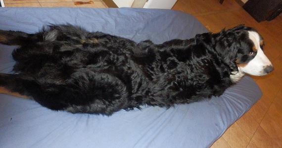 002_20121123073548.jpg