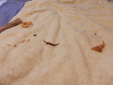 002_20121208130624.jpg