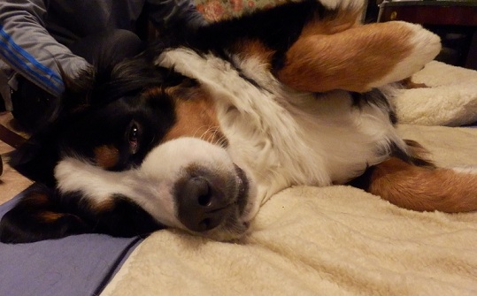 002_20130107204518.jpg