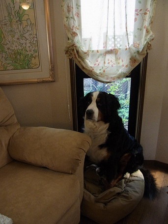 003_20121019204625.jpg