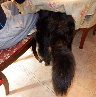 003_20121202224909.jpg