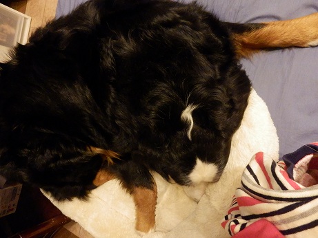 003_20121218203950.jpg
