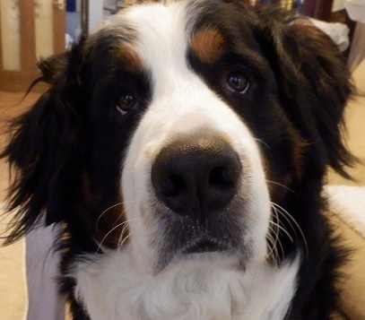 003_20121221222848.jpg