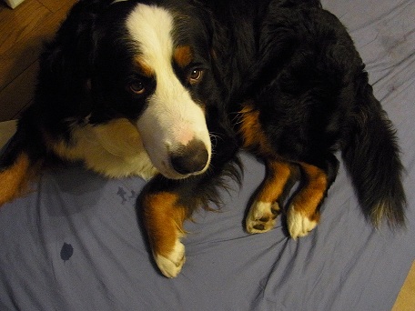 004_20121019204614.jpg