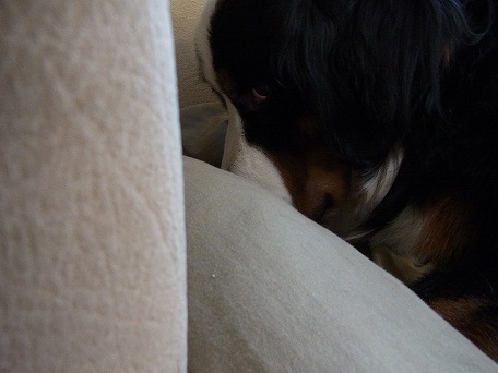 004_20121026140737.jpg