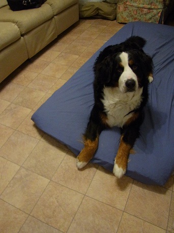 004_20121107072659.jpg
