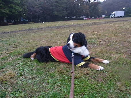 004_20121112083139.jpg