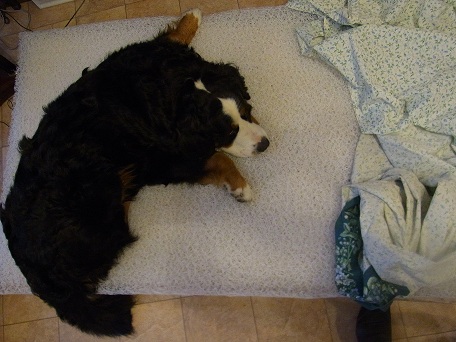 004_20121116152818.jpg