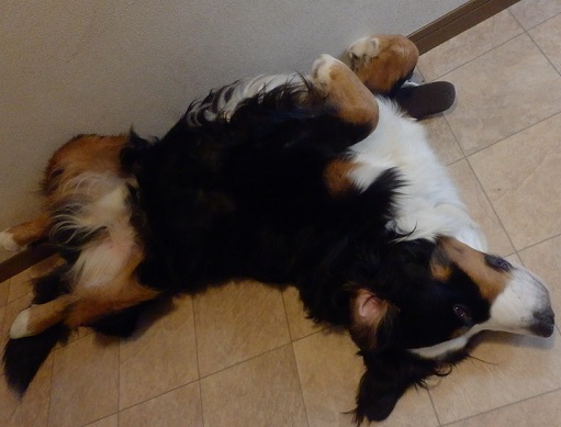 004_20121203131702.jpg