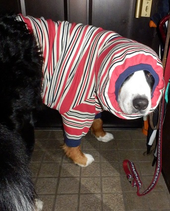 004_20121218203959.jpg
