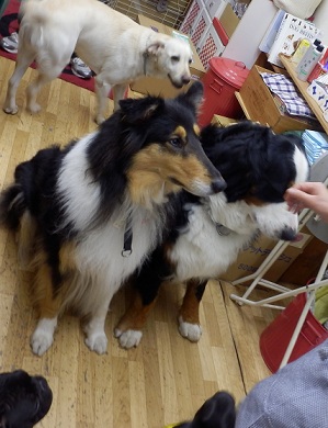 004_20121222194346.jpg