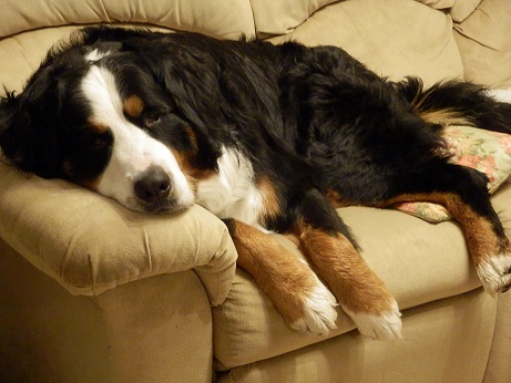 004_20121223140207.jpg