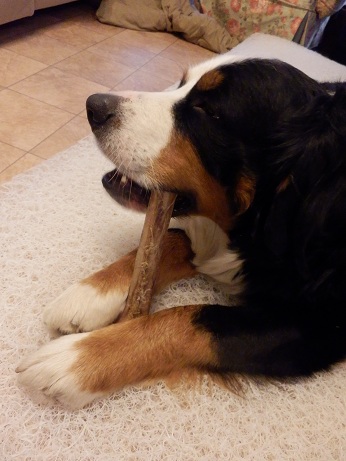004_20130104104134.jpg