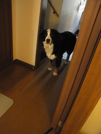 005_20121013232920.jpg