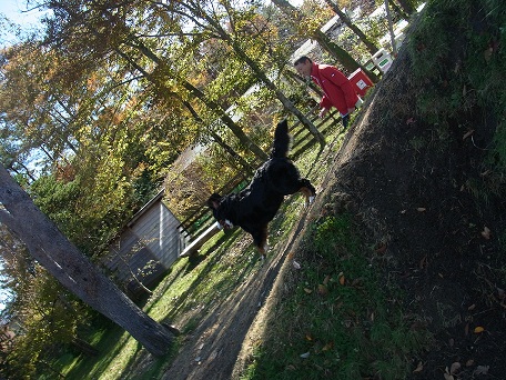 005_20121108161939.jpg