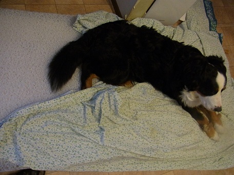 005_20121116152828.jpg