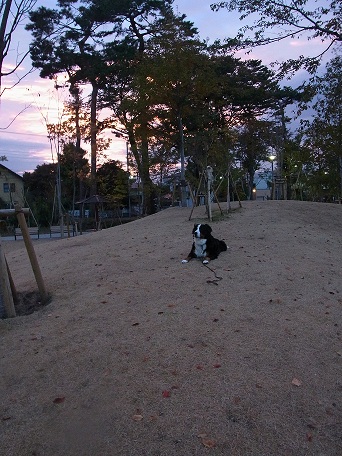 005_20121117082258.jpg