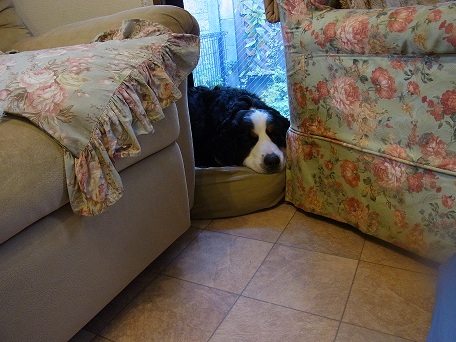 005_20121120105155.jpg