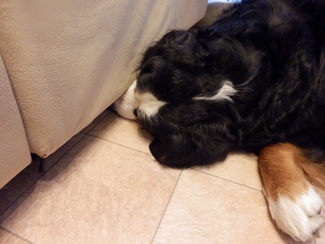 005_20121213195707.jpg