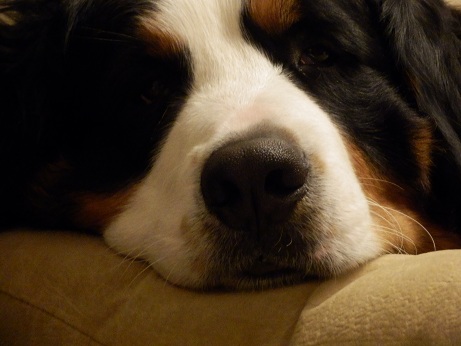 005_20121226171310.jpg
