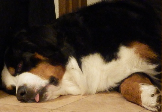 005_20121230163906.jpg