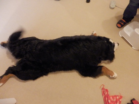 005_20130107204658.jpg