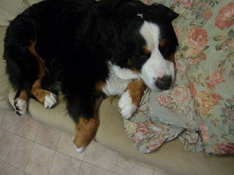 006_20121107072709.jpg