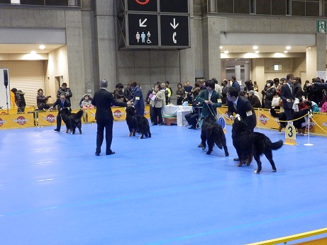 006_20121223140215.jpg