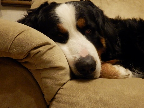 006_20121226171319.jpg
