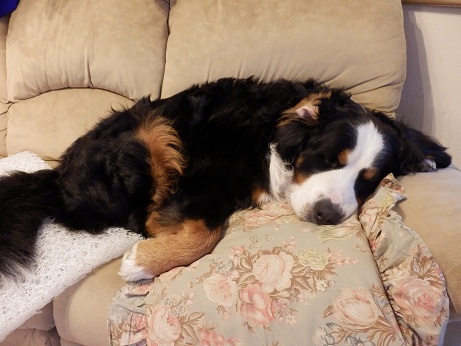 006_20130106085017.jpg