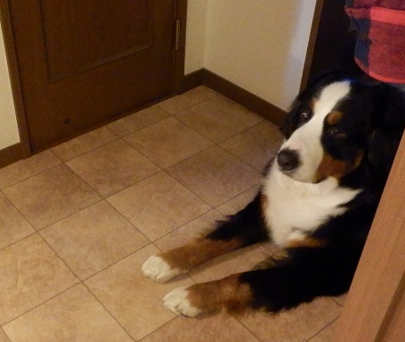 006_20130113103438.jpg