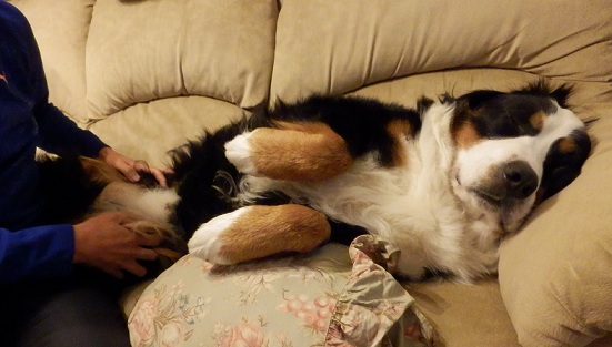 006_20130114173532.jpg