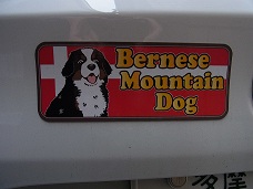 007_20121025092333.jpg