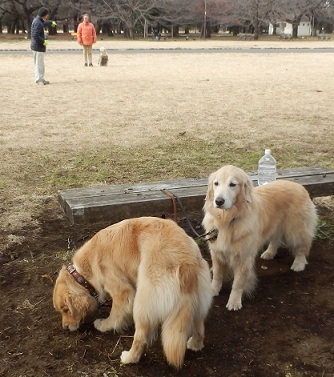 007_20121221222914.jpg