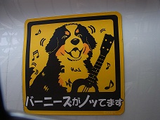 008_20121025092341.jpg