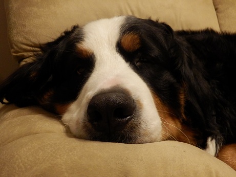 008_20121226171330.jpg