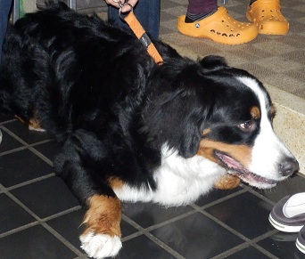 009_20121215220153.jpg