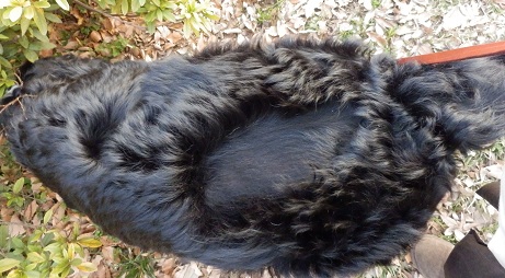 009_20130103192459.jpg