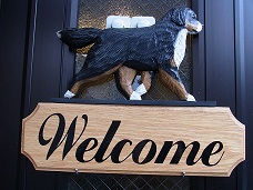 010_20121025092351.jpg